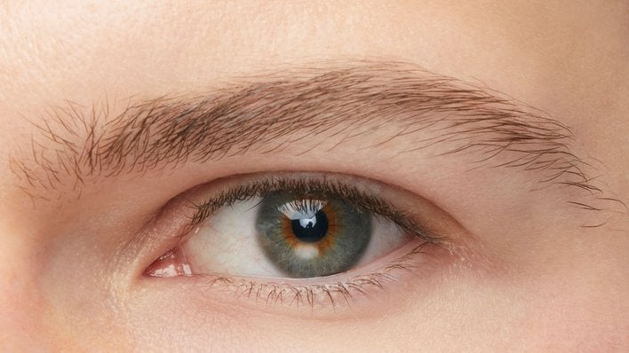 Express Brow™ Fast Sculpt™ Clear Gel Brow Mascara